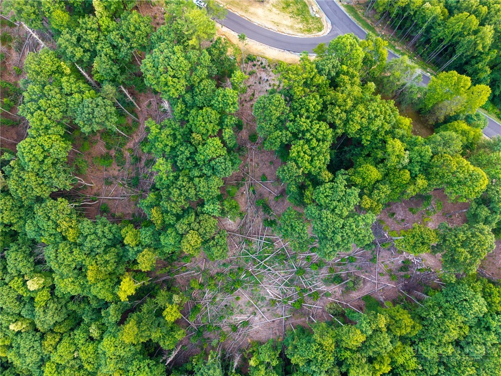 85 Eagle Watch Circle Property Photo 24