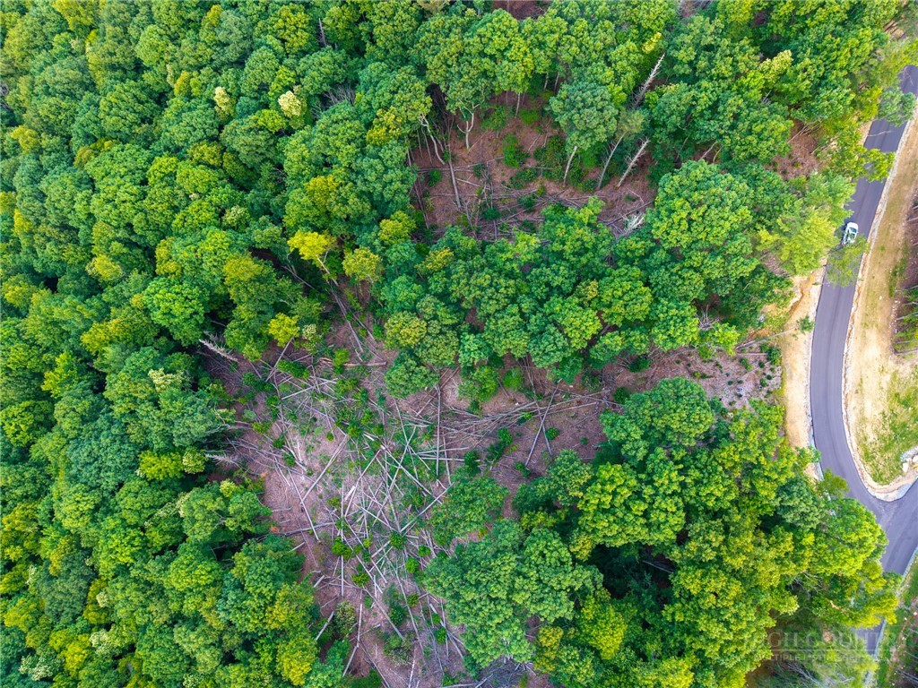 85 Eagle Watch Circle Property Photo 25