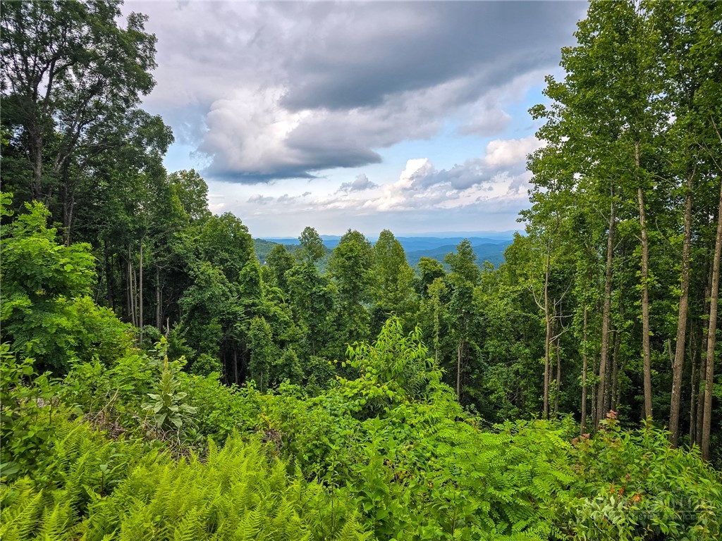 148 Angelfire Trail Property Photo 4
