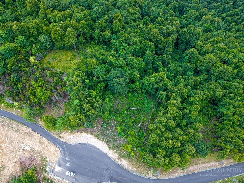148 Angelfire Trail Property Photo 13