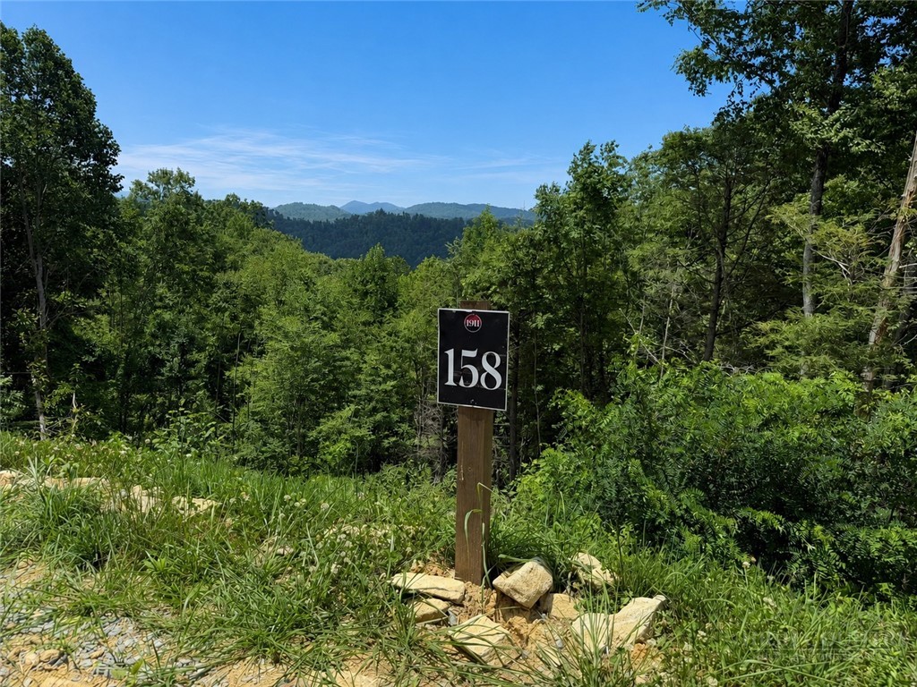Lot 158 Tower Oaks Trail Property Photo 1