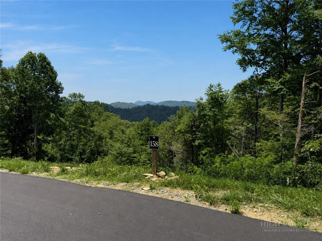 Lot 158 Tower Oaks Trail Property Photo 2