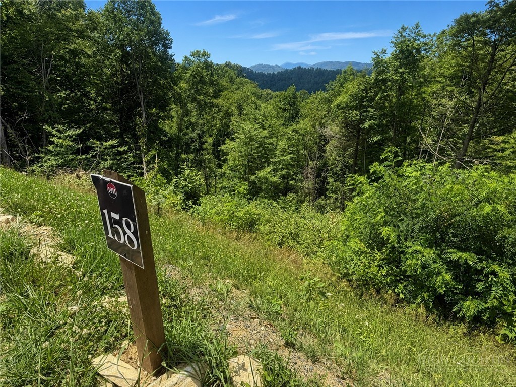 Lot 158 Tower Oaks Trail Property Photo 3