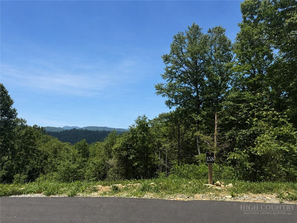 Lot 158 Tower Oaks Trail Property Photo 4