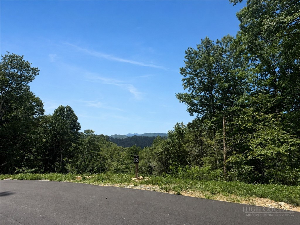 Lot 158 Tower Oaks Trail Property Photo 5