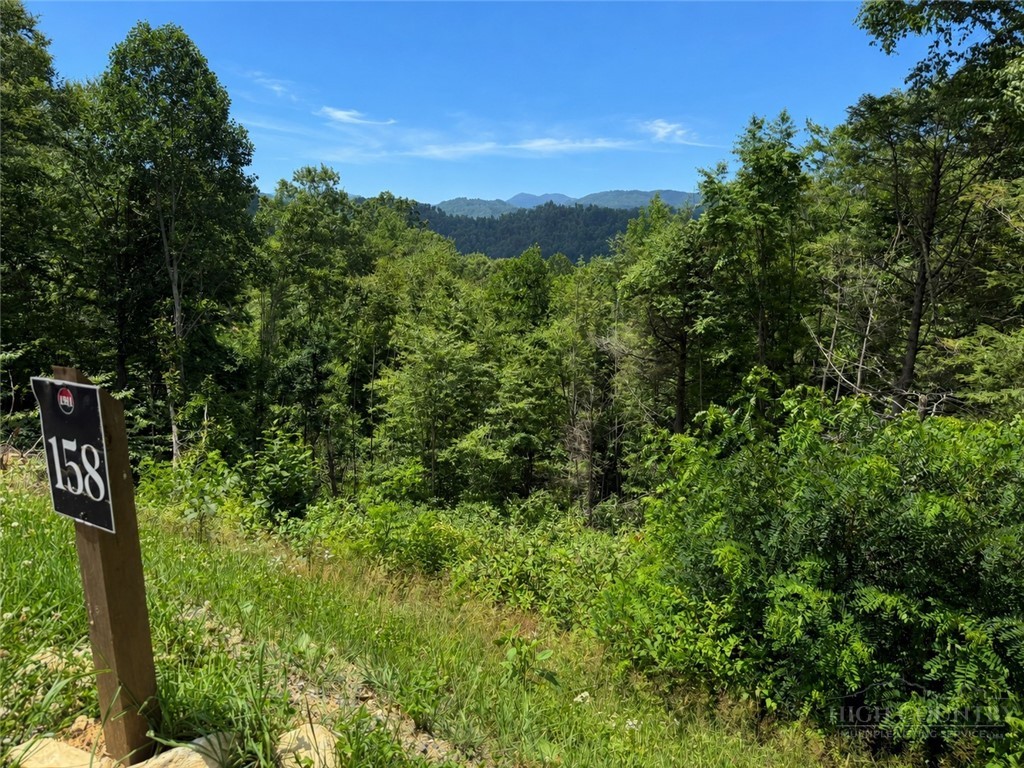 Lot 158 Tower Oaks Trail Property Photo 6