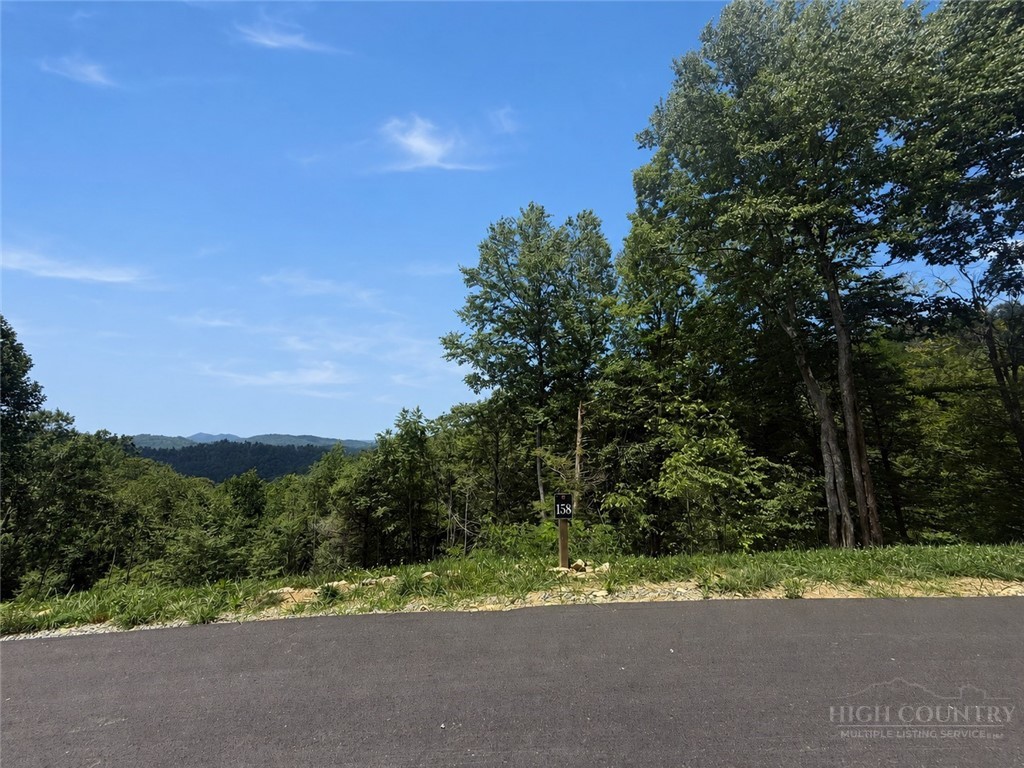 Lot 158 Tower Oaks Trail Property Photo 7