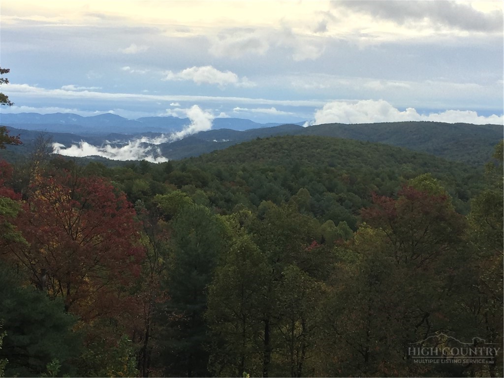 374 Tinys Mountain Drive Property Photo 46