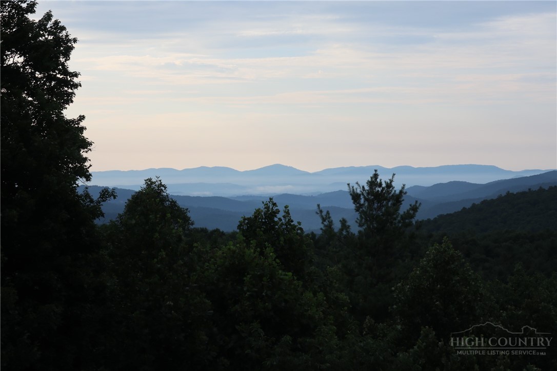 374 Tinys Mountain Drive Property Photo 48