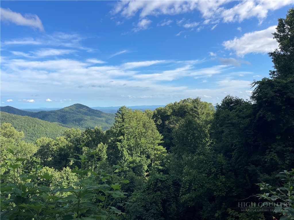 Lot 4 Scenic Acres