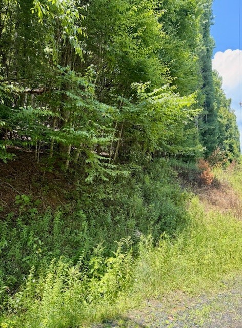 Tbd Chestnut Creek Road Property Photo 1