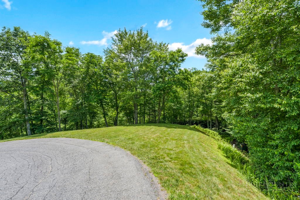 Lot 134 Tbd Firethorn Trail Property Photo 1