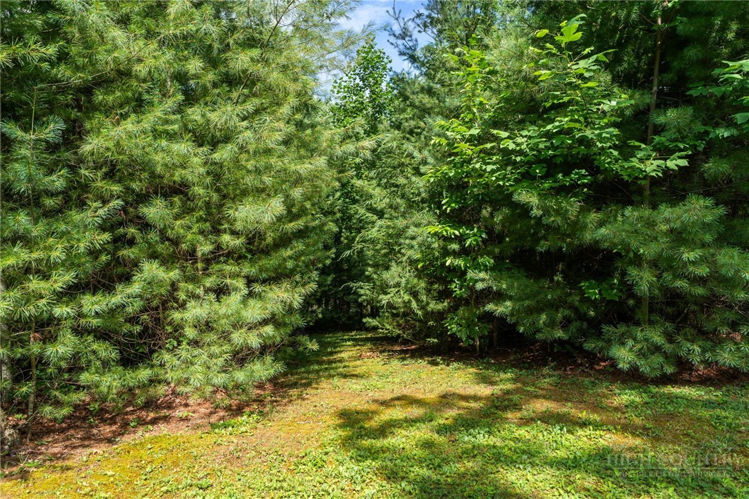 9081 Pittmans Gap Road Property Photo 42
