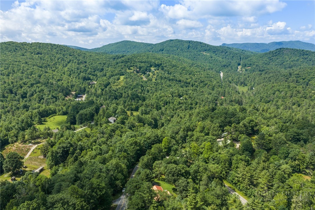 9081 Pittmans Gap Road Property Photo 48