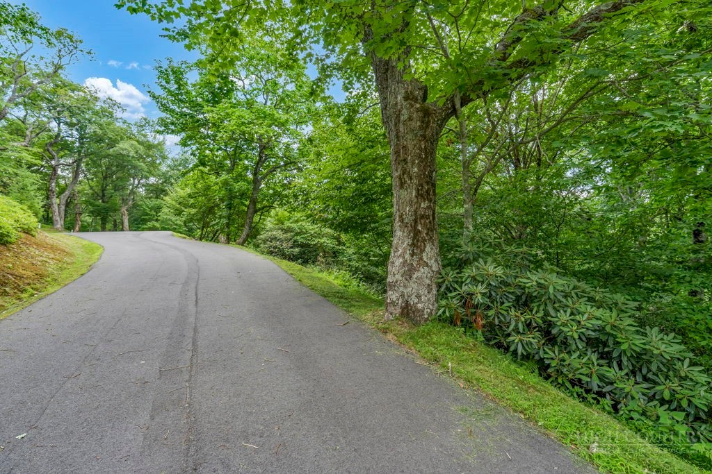 Lot 220 Tbd Stack Rock Way Property Photo 1