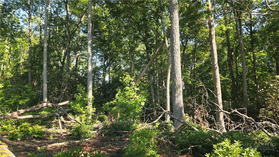 Lot 122 Pine Tree Drive Property Photo 1