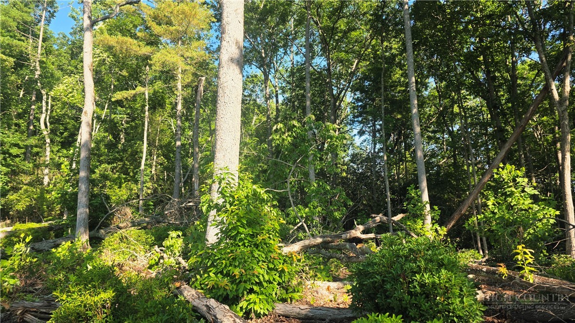 Lot 122 Pine Tree Drive Property Photo 2