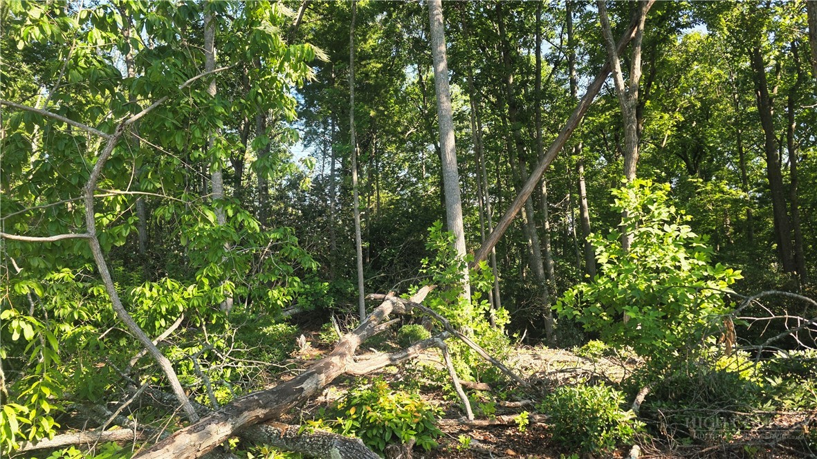Lot 122 Pine Tree Drive Property Photo 3