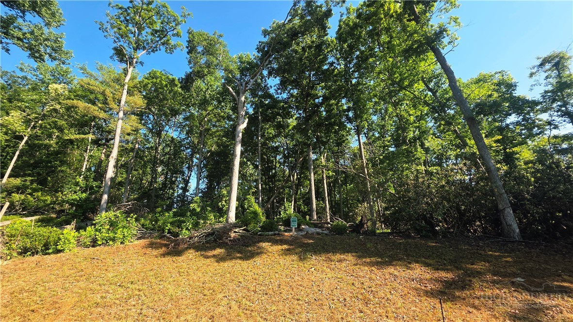 Lot 122 Pine Tree Drive Property Photo 4