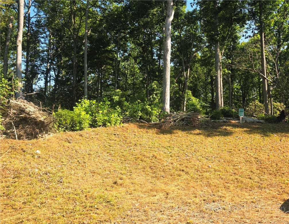Lot 122 Pine Tree Drive Property Photo 5