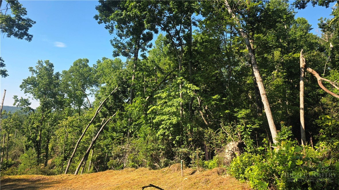 Lot 122 Pine Tree Drive Property Photo 6
