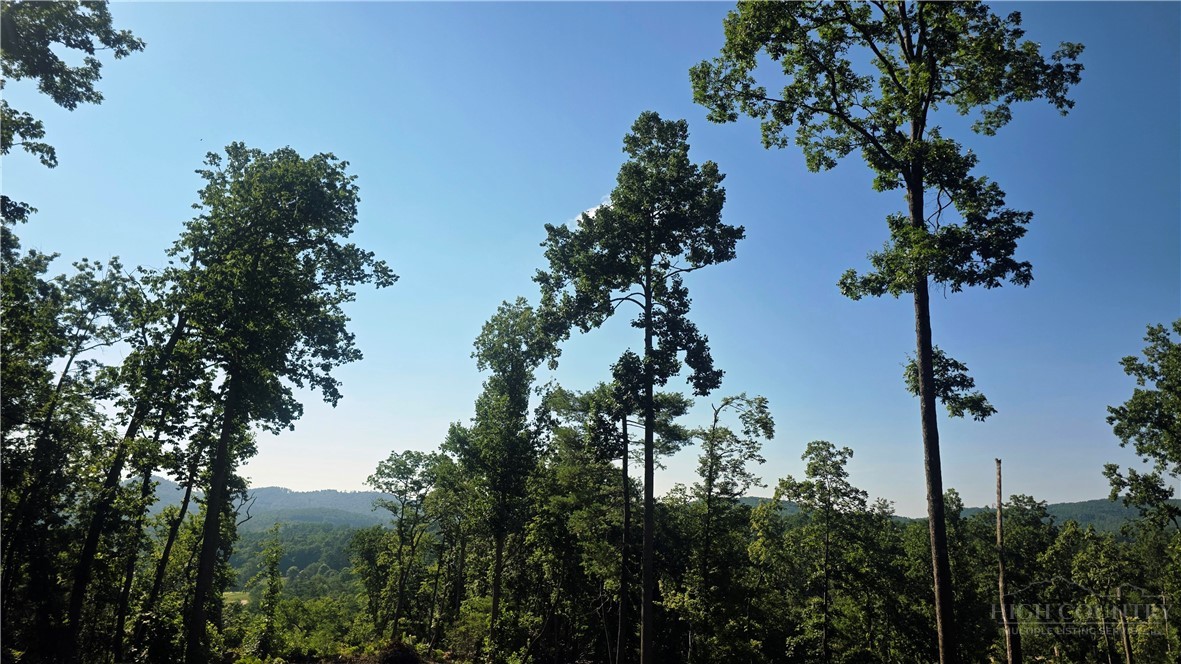 Lot 122 Pine Tree Drive Property Photo 7