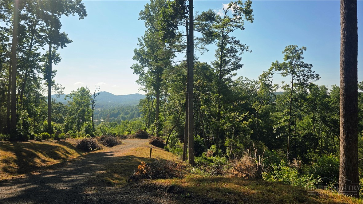 Lot 122 Pine Tree Drive Property Photo 8