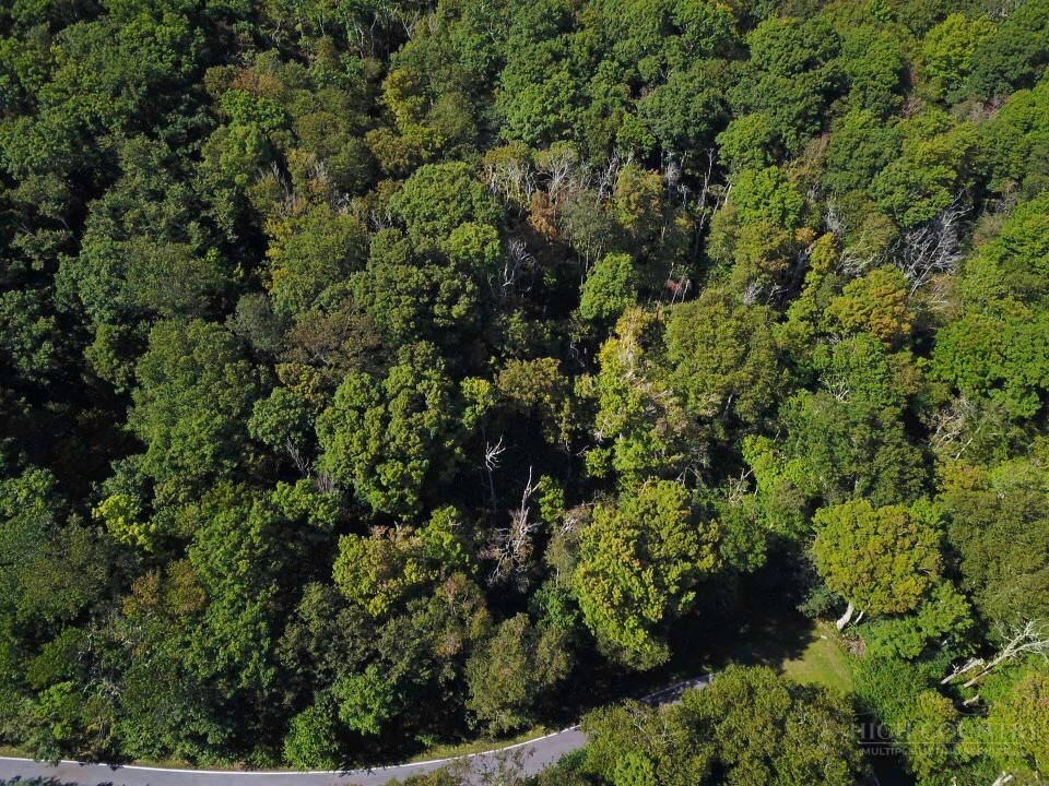 Tbd Red Clover Road Property Photo 1
