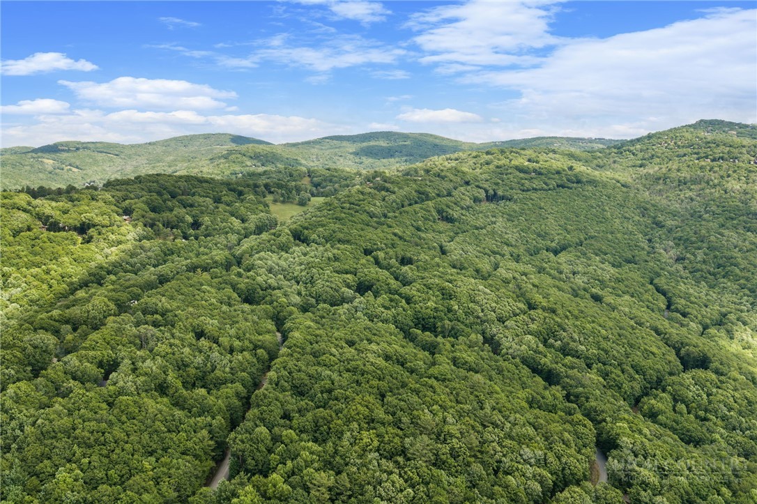 135 Teaberry Trail Property Photo 28