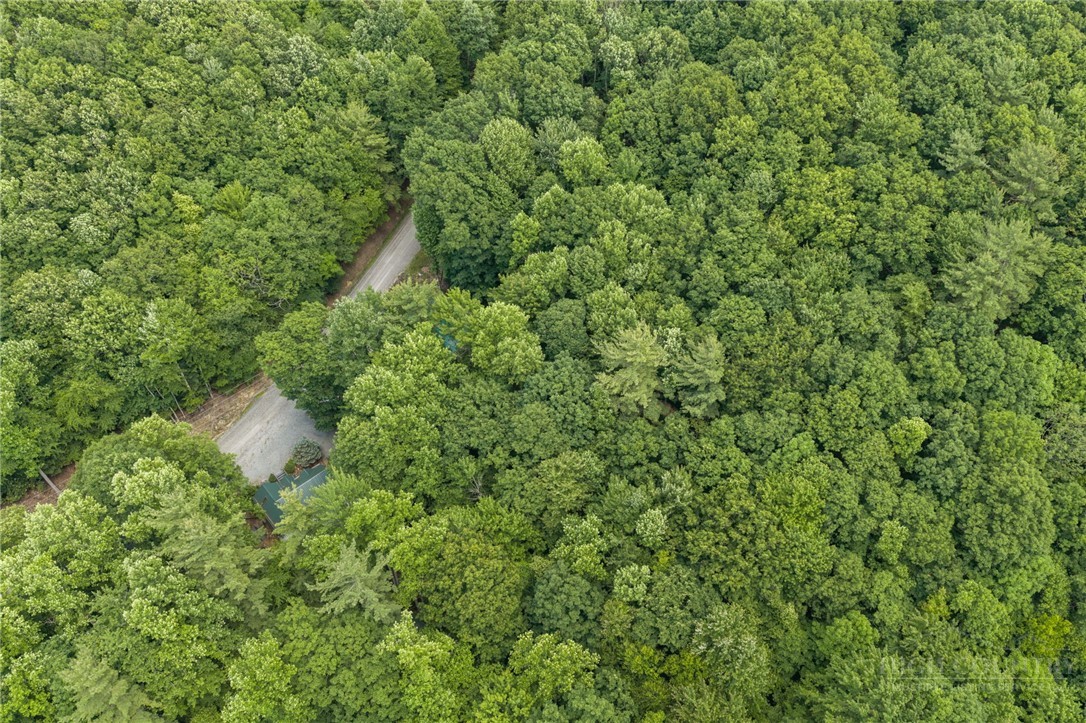 135 Teaberry Trail Property Photo 29