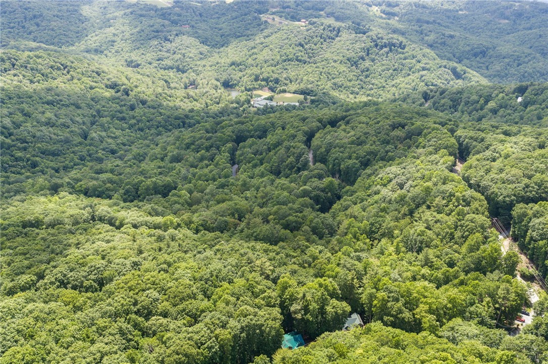 135 Teaberry Trail Property Photo 31