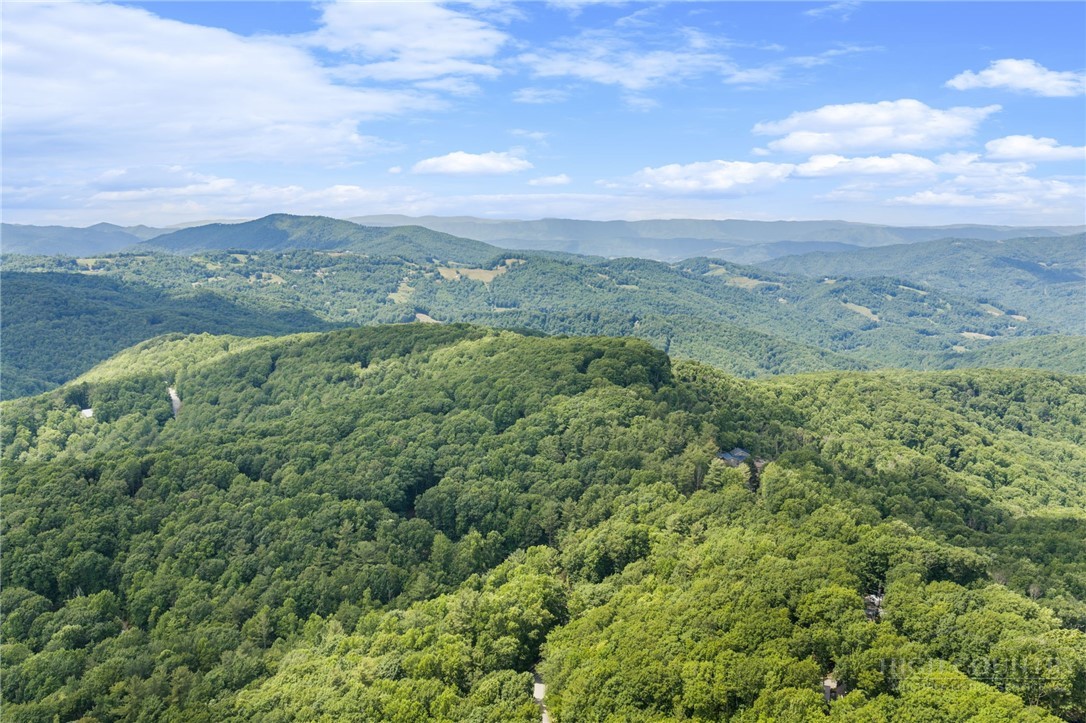 135 Teaberry Trail Property Photo 32