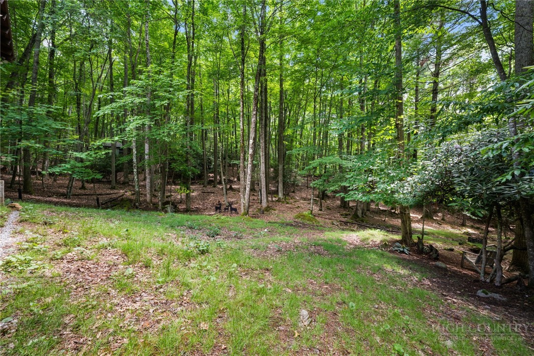 135 Teaberry Trail Property Photo 36