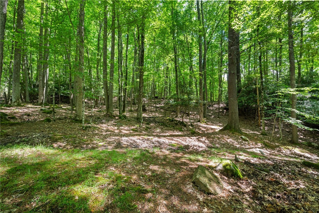 135 Teaberry Trail Property Photo 40