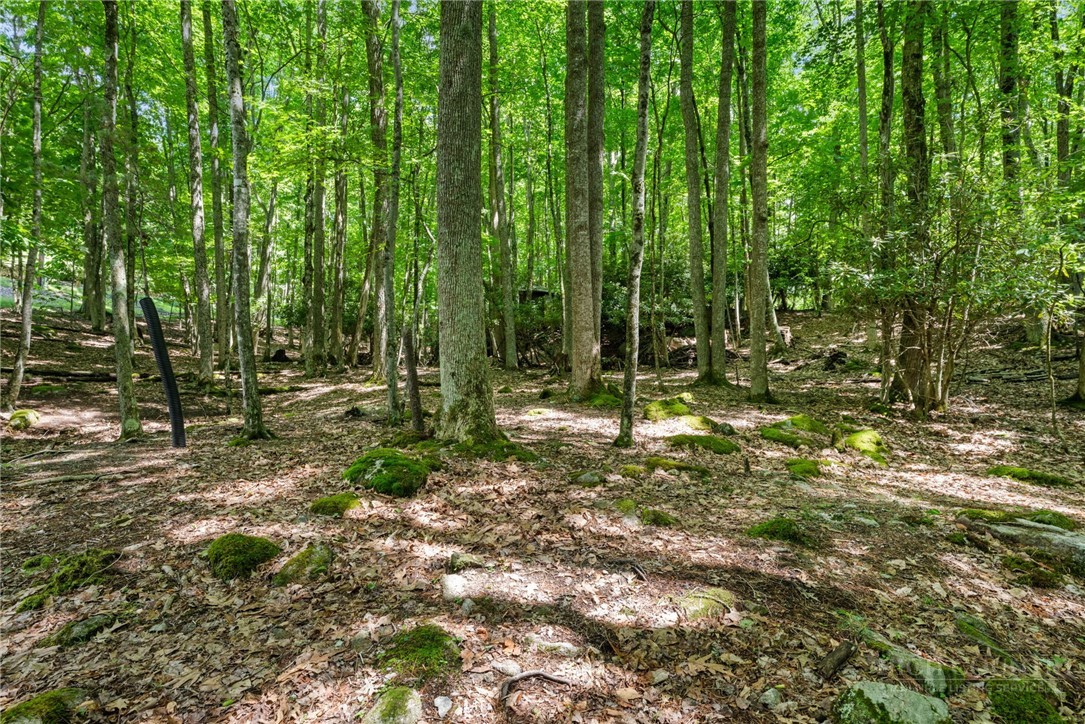 135 Teaberry Trail Property Photo 42