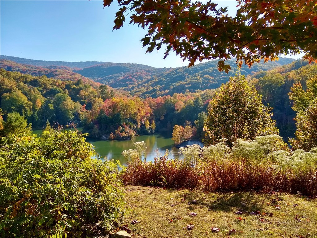 135 Teaberry Trail Property Photo 46