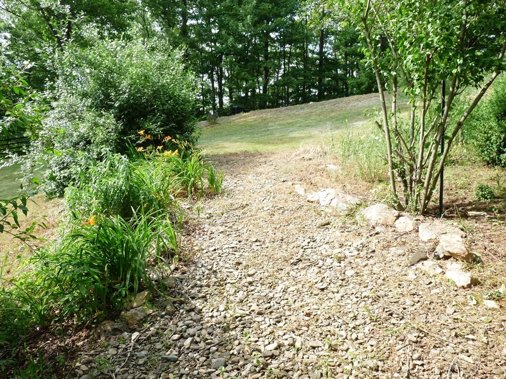 853 Cox Road Property Photo 11