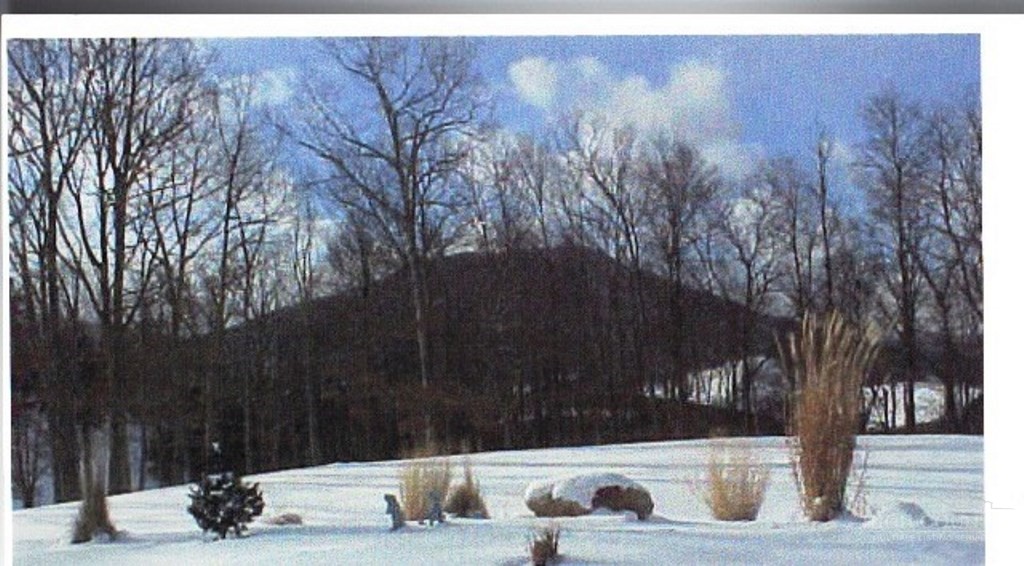 853 Cox Road Property Photo 13