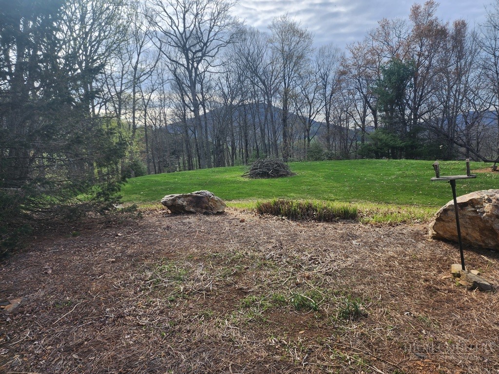 853 Cox Road Property Photo 18