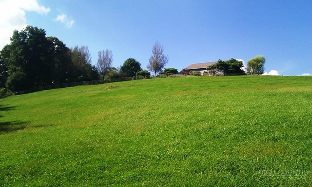 853 Cox Road Property Photo 33