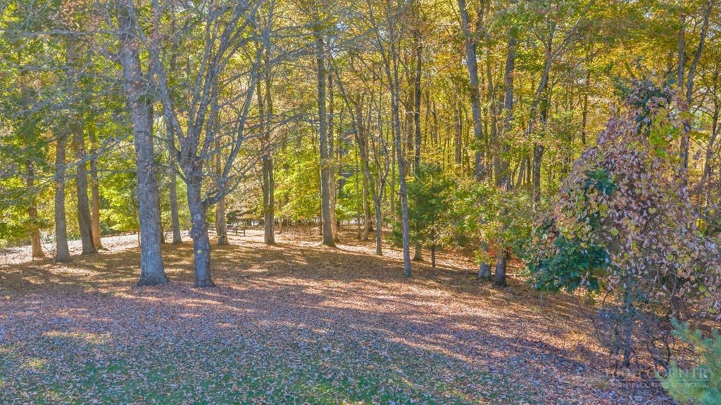 853 Cox Road Property Photo 46