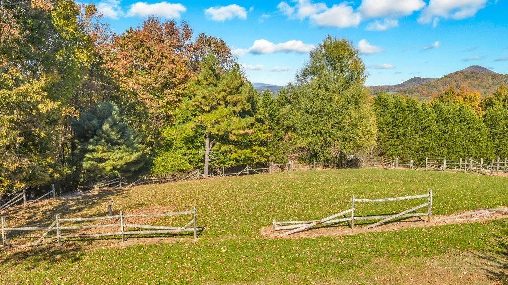 853 Cox Road Property Photo 49