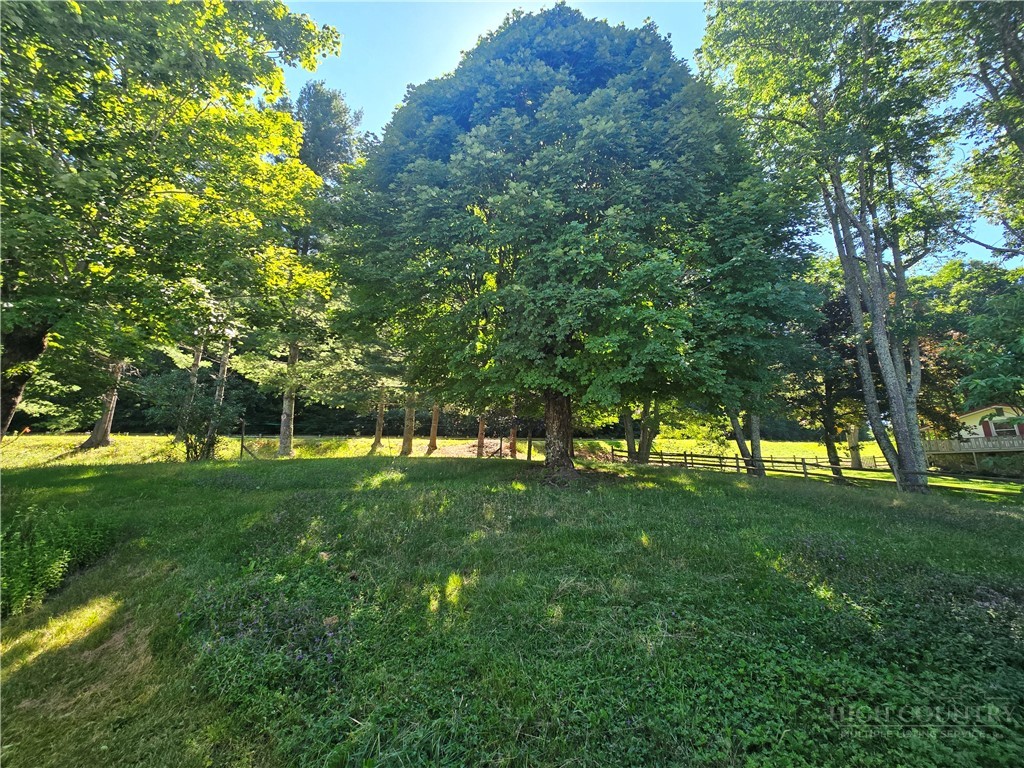 159 Hubert Street Property Photo 38