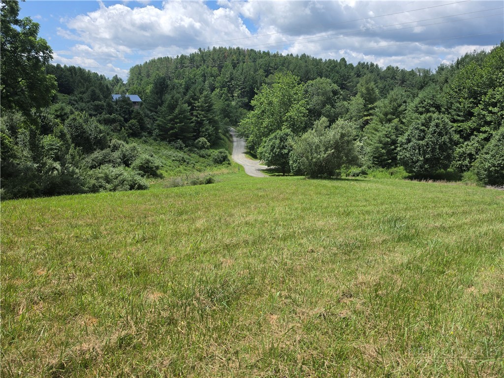 Lot 40 Dena Way Property Photo 1