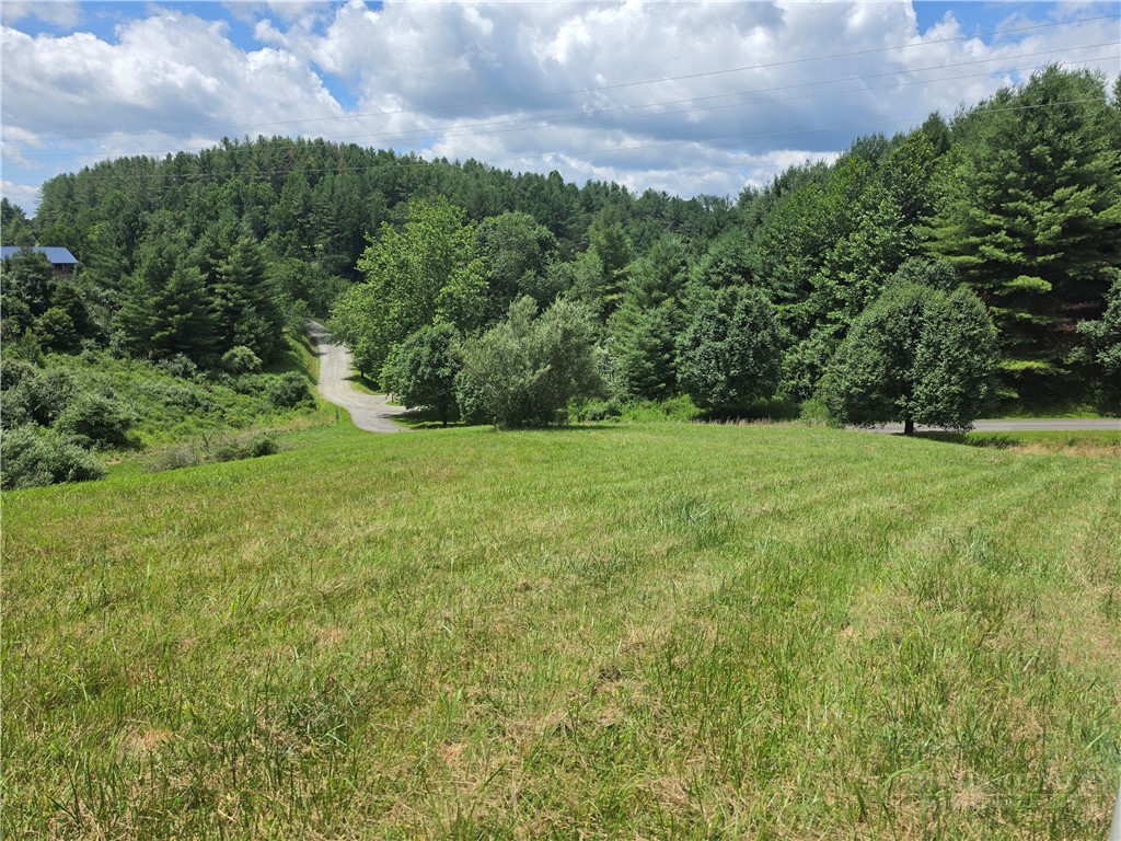 Lot 40 Dena Way Property Photo 2
