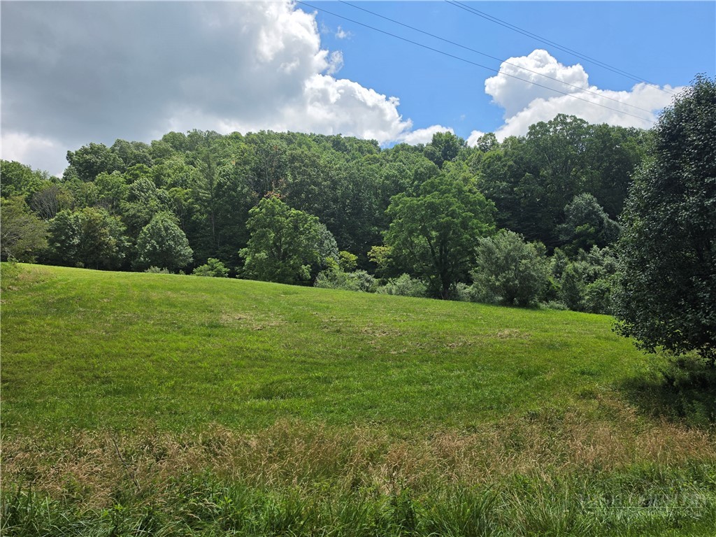 Lot 40 Dena Way Property Photo 3