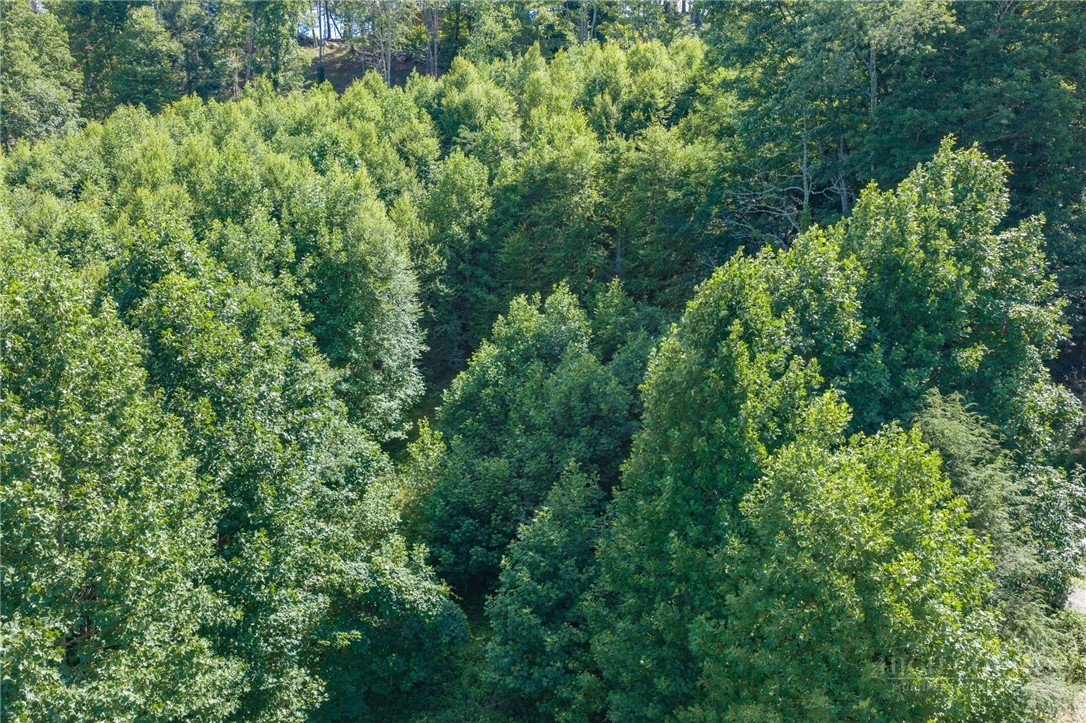 F-22 Old Mcguire Road Property Photo 11