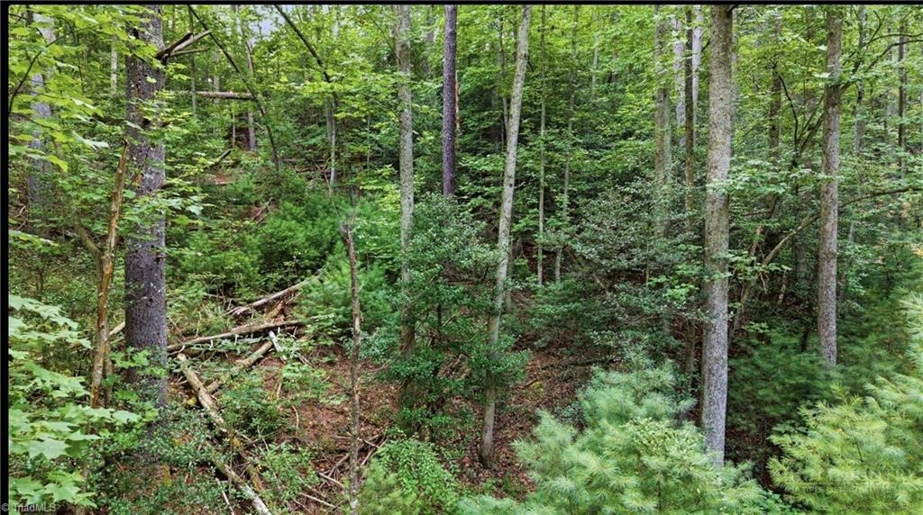 11526 Us Highway 421 N/a Property Photo 40