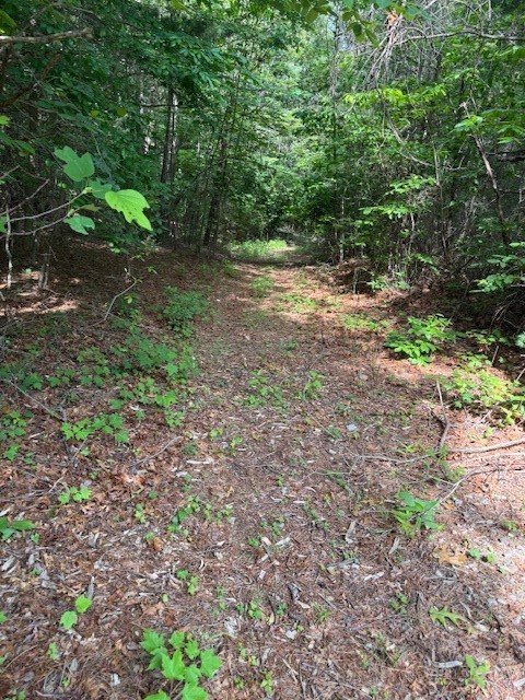 79 Elk Horn Road Property Photo 1
