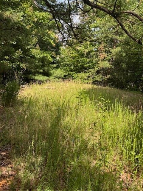 79 Elk Horn Road Property Photo 8
